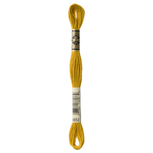 One skein of DMC Mouliné Stranded Cotton thread Colour code 3852