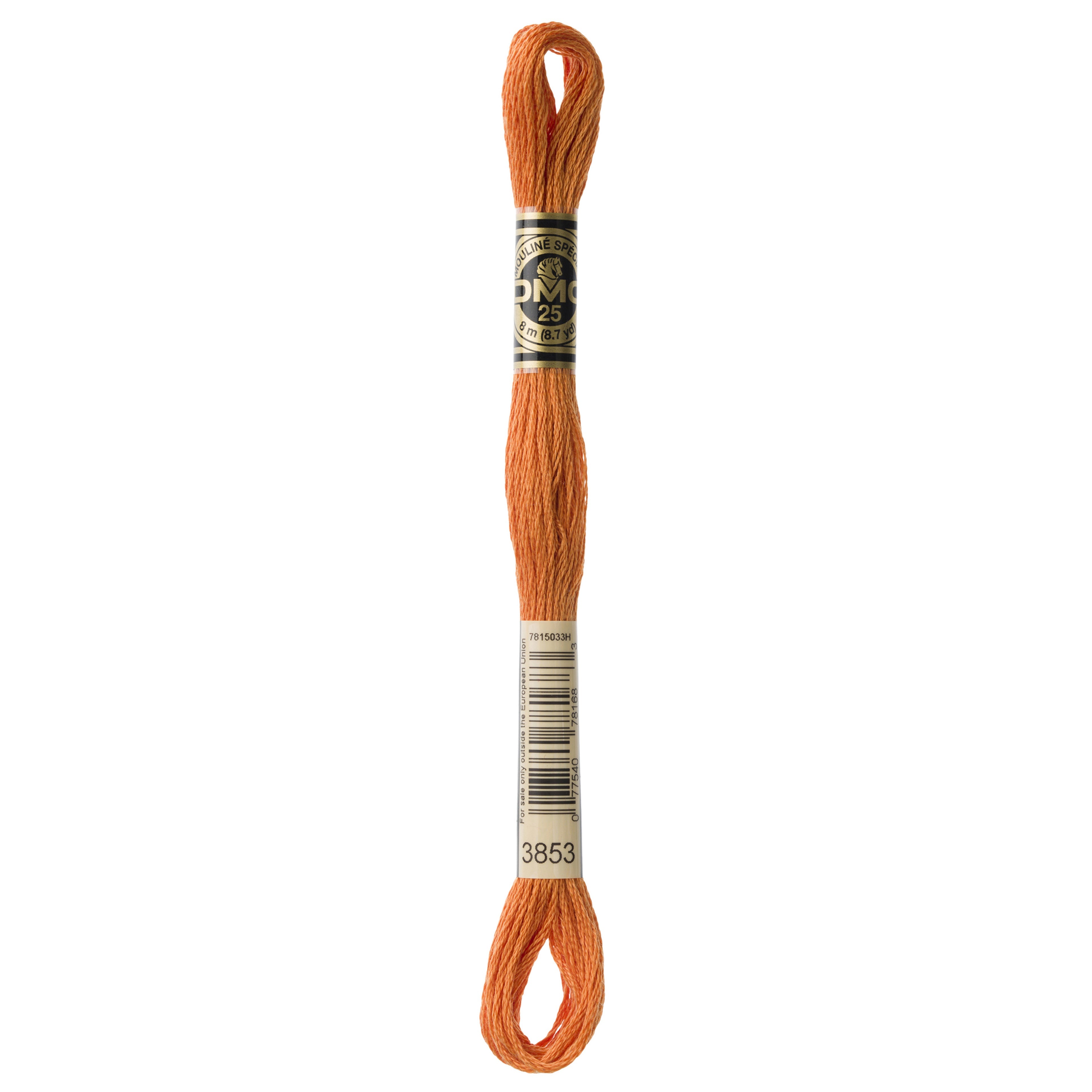 One skein of DMC Mouliné Stranded Cotton thread Colour code 3853