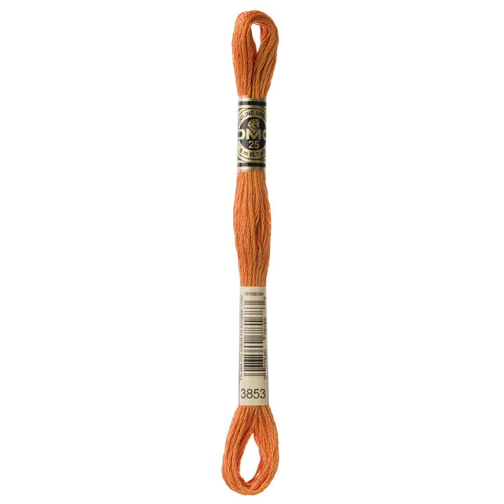 One skein of DMC Mouliné Stranded Cotton thread Colour code 3853