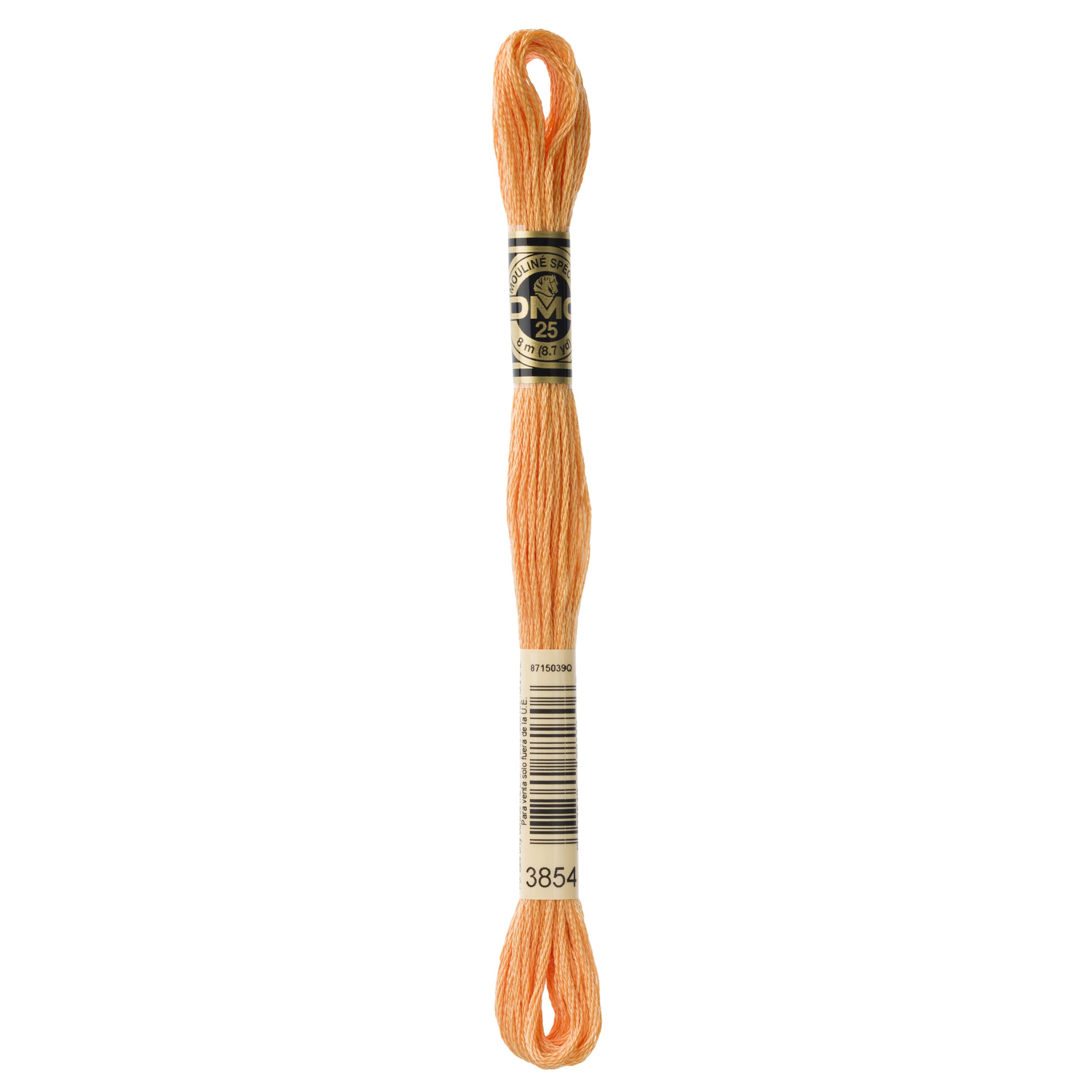 One skein of DMC Mouliné Stranded Cotton thread Colour code 3854