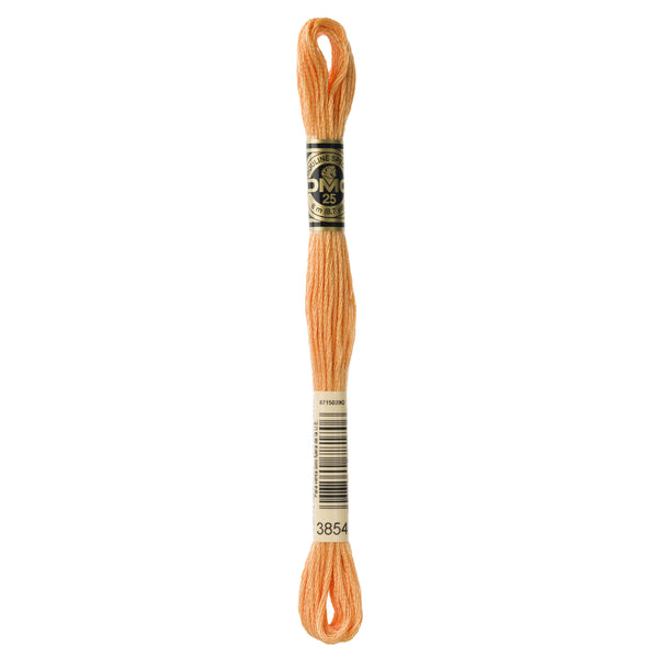One skein of DMC Mouliné Stranded Cotton thread Colour code 3854