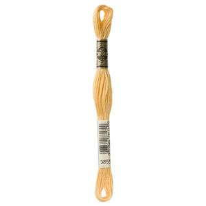 One skein of DMC Mouliné Stranded Cotton thread Colour code 3855