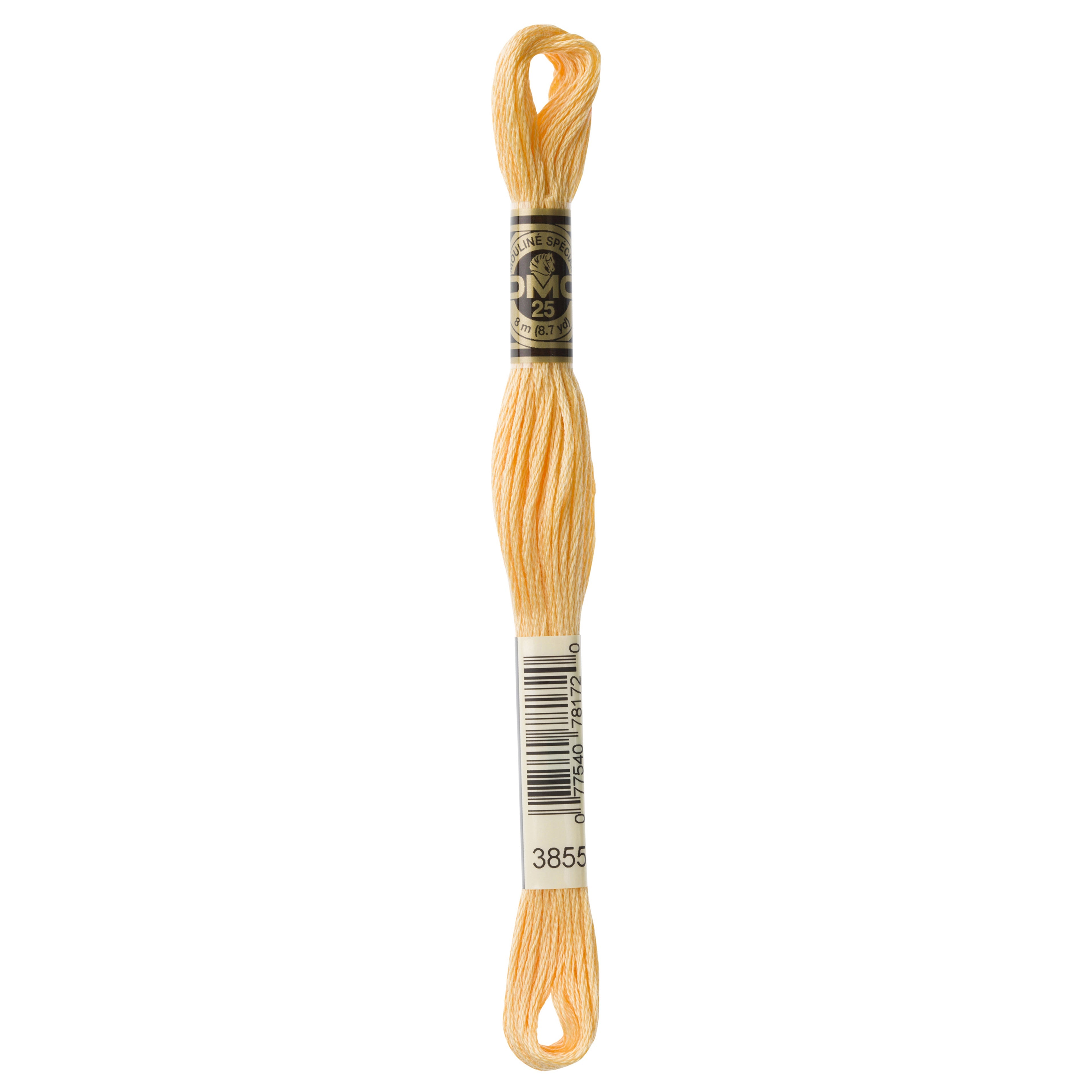 One skein of DMC Mouliné Stranded Cotton thread Colour code 3855