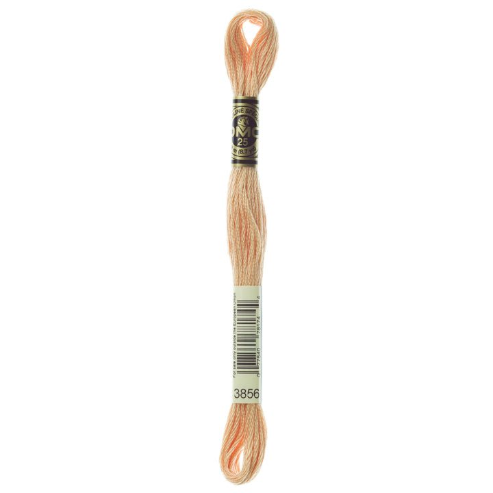 One skein of DMC Mouliné Stranded Cotton thread Colour code 3856