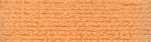 A colour swatch of DMC Mouliné Stranded Cotton thread Colour code 3856