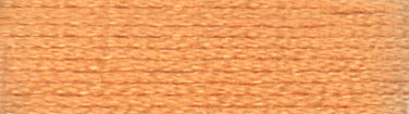 A colour swatch of DMC Mouliné Stranded Cotton thread Colour code 3856