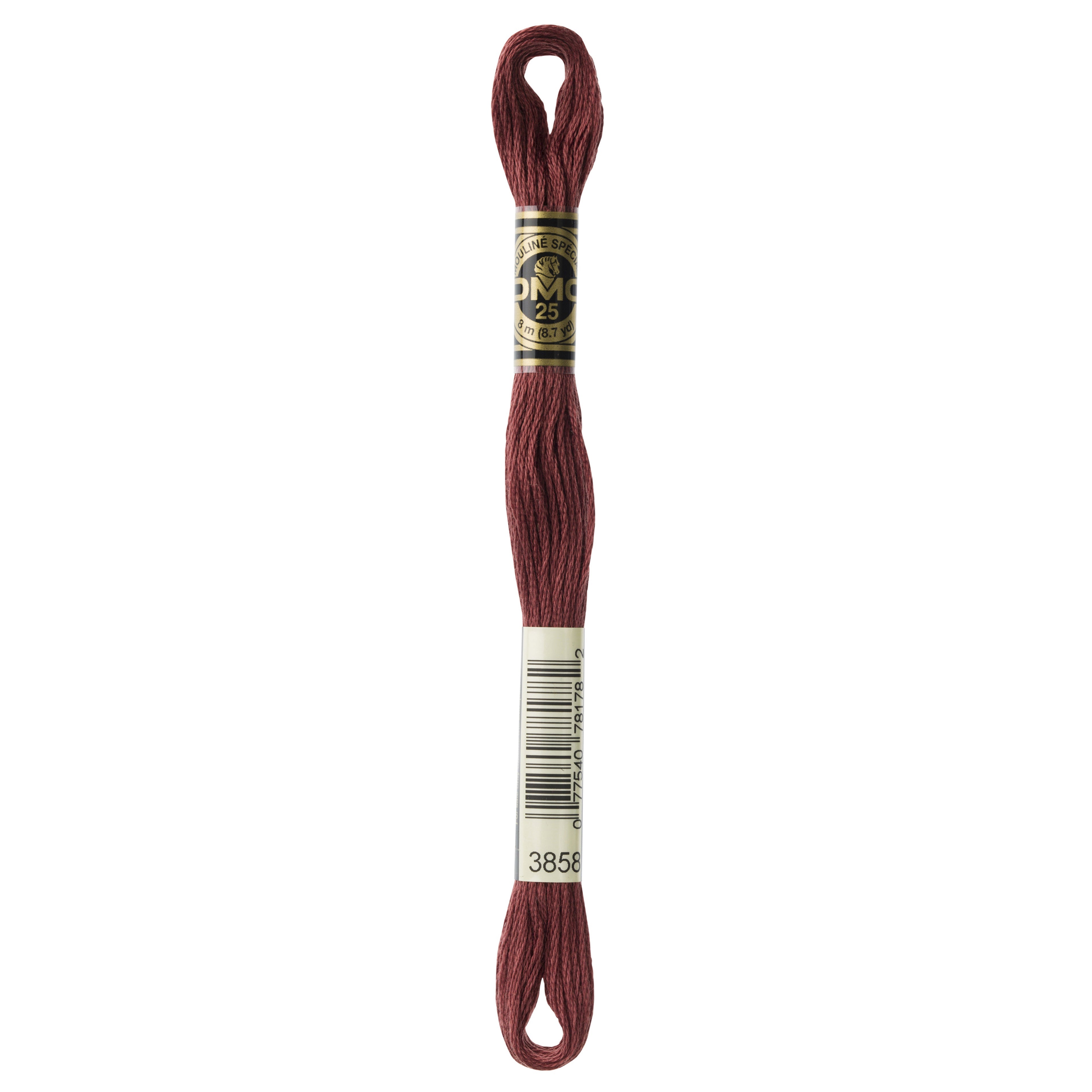 One skein of DMC Mouliné Stranded Cotton thread Colour code 3858