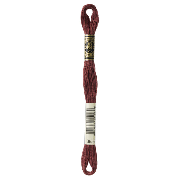 One skein of DMC Mouliné Stranded Cotton thread Colour code 3858