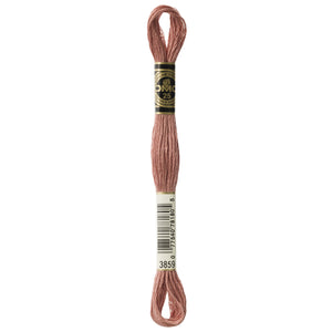 One skein of DMC Mouliné Stranded Cotton thread Colour code 3859