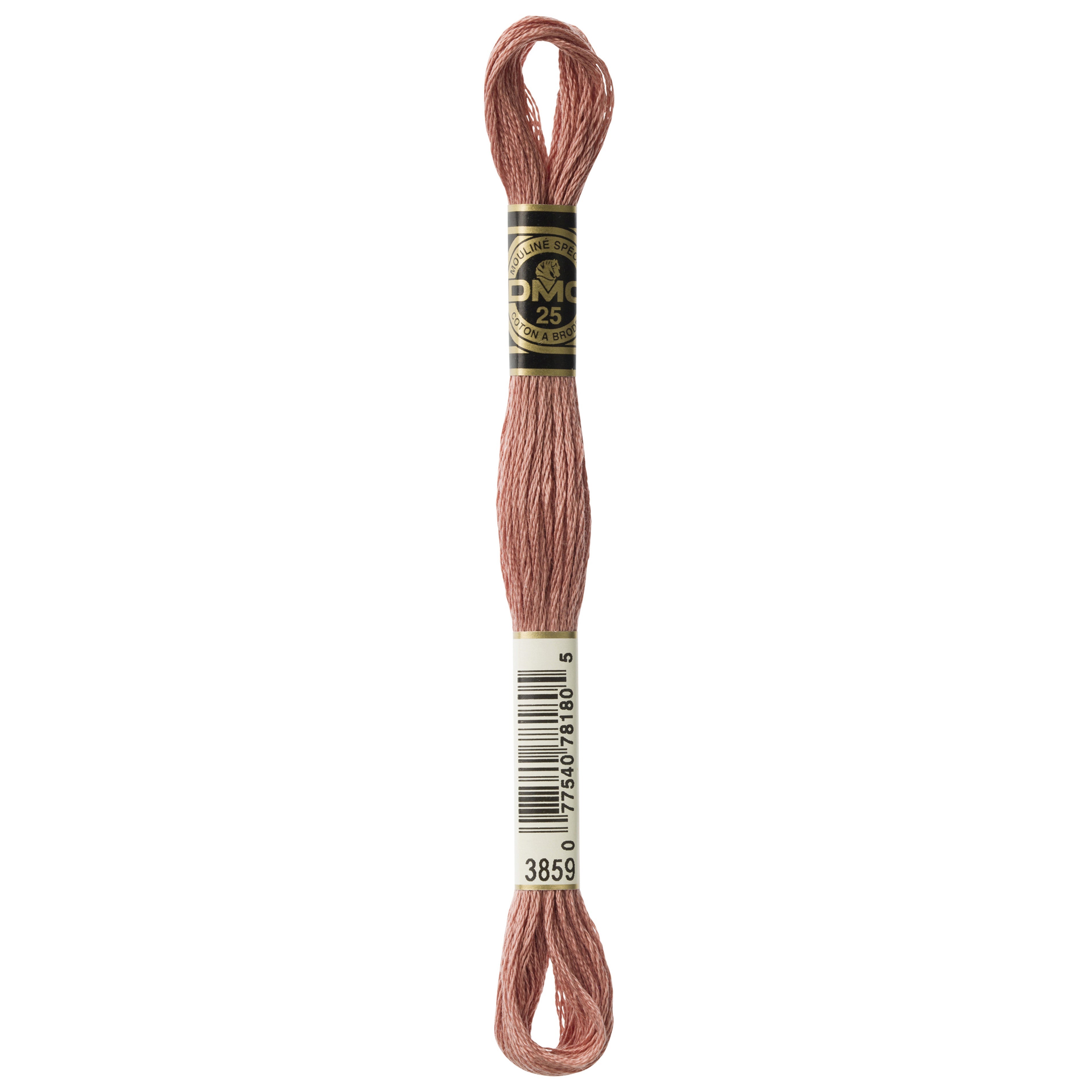 One skein of DMC Mouliné Stranded Cotton thread Colour code 3859