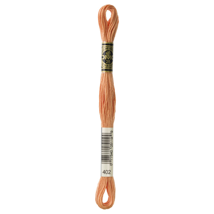 One skein of DMC Mouliné Stranded Cotton thread Colour code 402