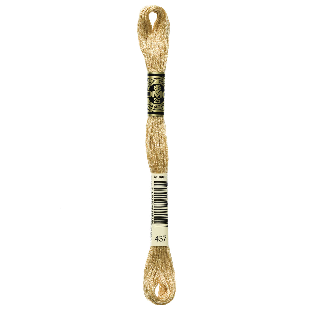 One skein of DMC Mouliné Stranded Cotton thread Colour code 437