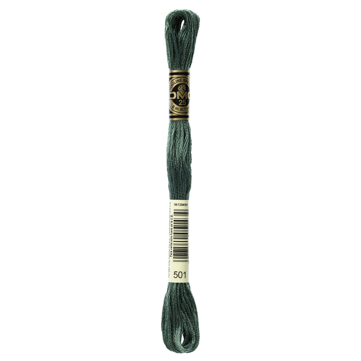 One skein of DMC Mouliné Stranded Cotton thread Colour code 501