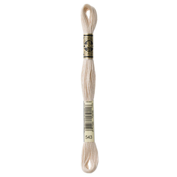 One skein of DMC Mouliné Stranded Cotton thread Colour code 543