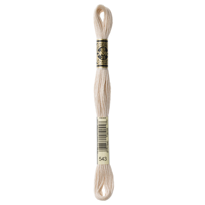 One skein of DMC Mouliné Stranded Cotton thread Colour code 543