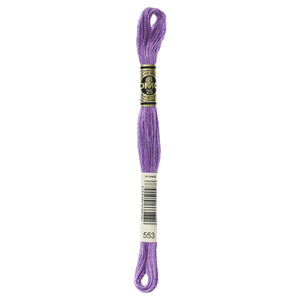 One skein of DMC Mouliné Stranded Cotton thread Colour code 553