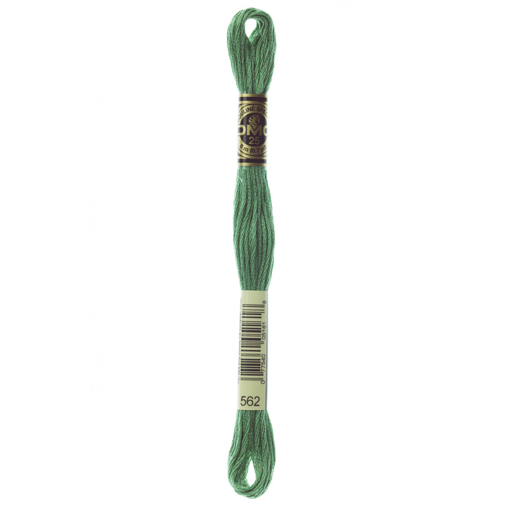 One skein of DMC Mouliné Stranded Cotton thread Colour code 562