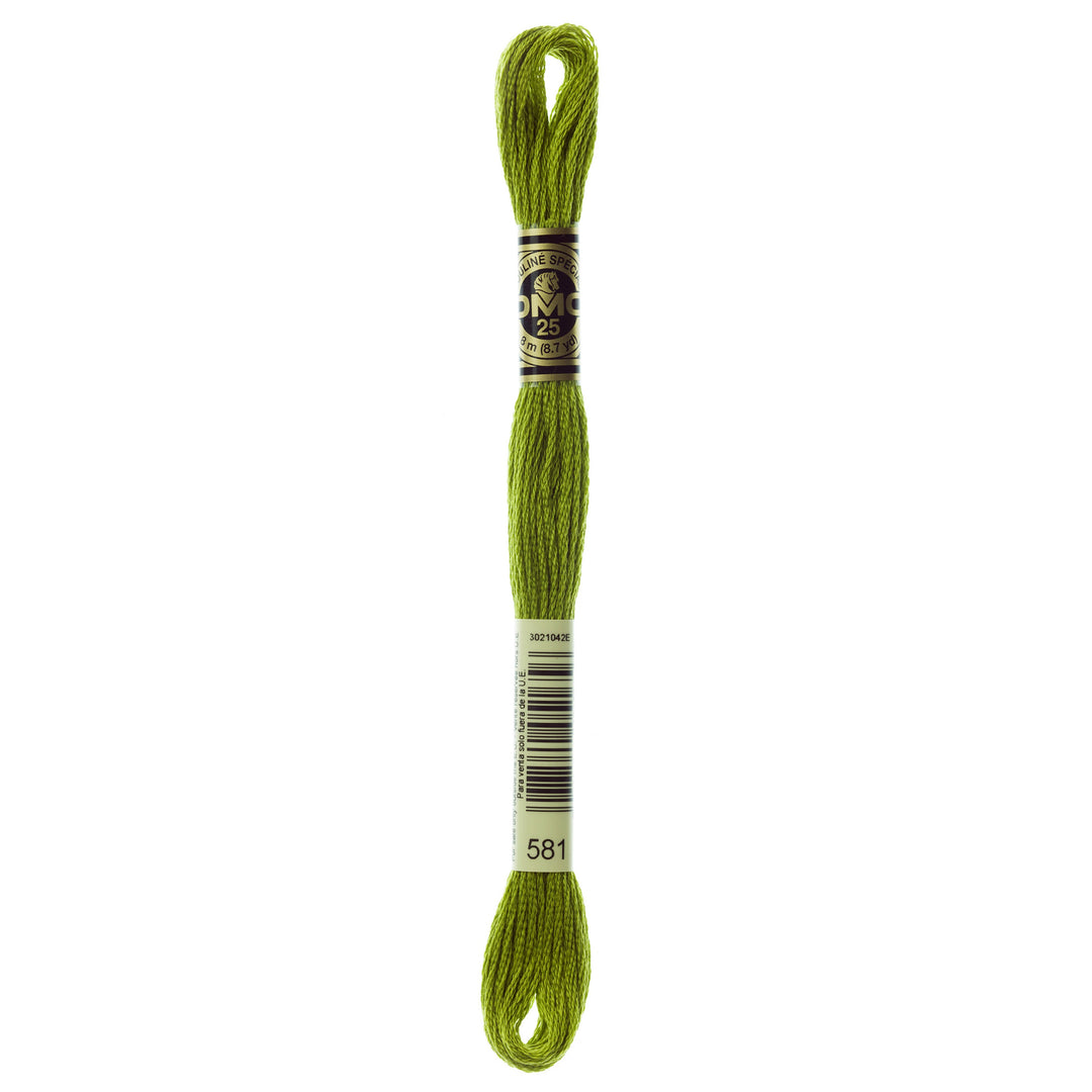 One skein of DMC Mouliné Stranded Cotton thread Colour code 581
