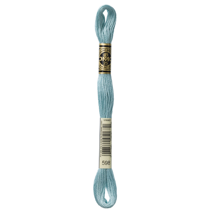 One skein of DMC Mouliné Stranded Cotton thread Colour code 598