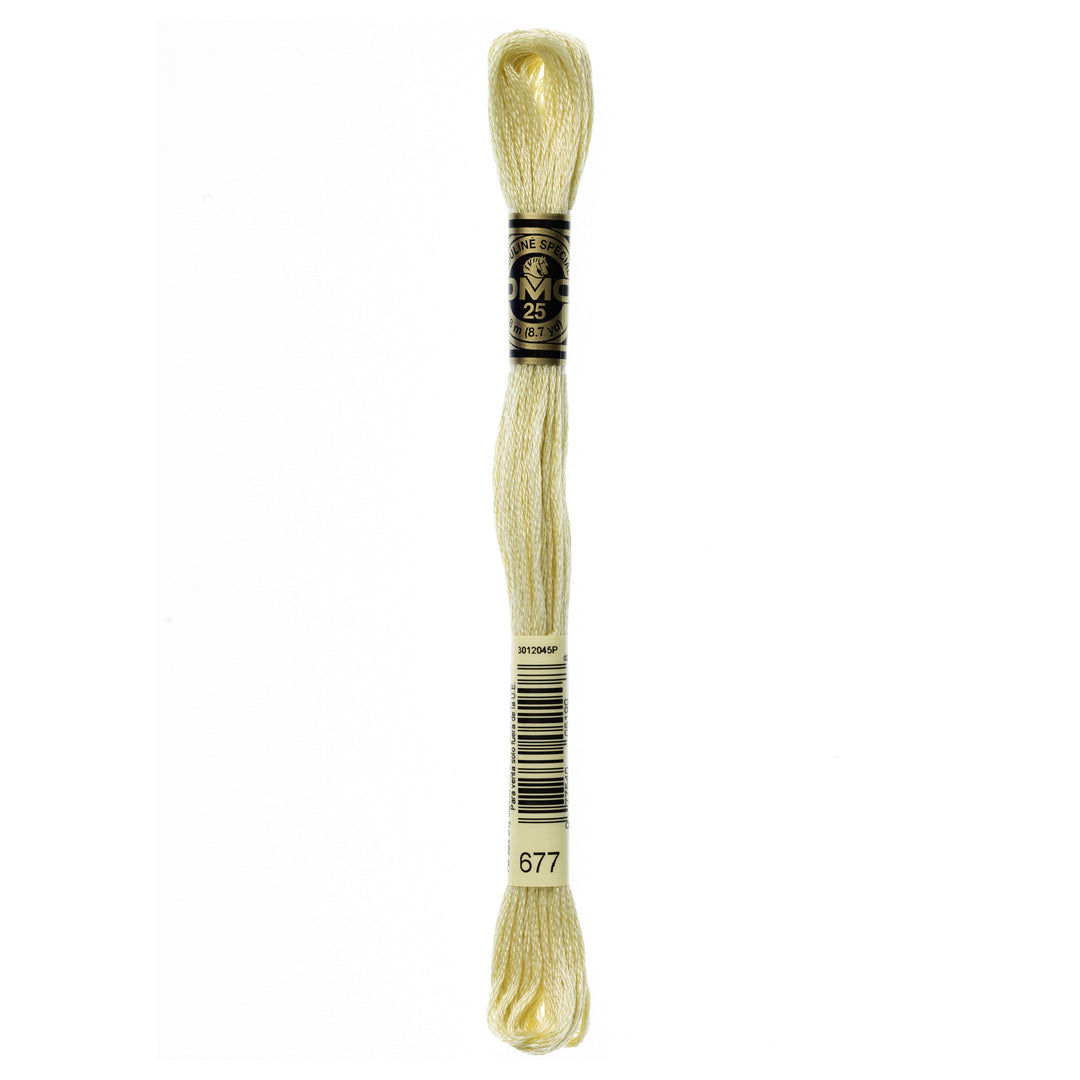 One skein of DMC Mouliné Stranded Cotton thread Colour code 677