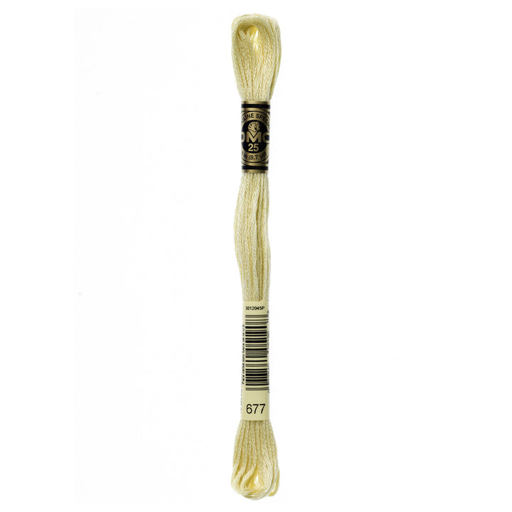 One skein of DMC Mouliné Stranded Cotton thread Colour code 677