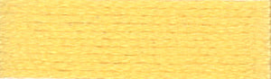 A colour swatch of DMC Mouliné Stranded Cotton thread Colour code 744