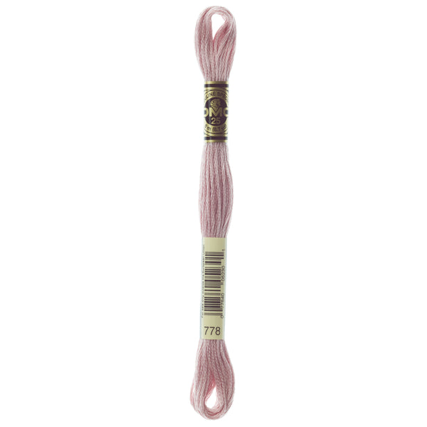 One skein of DMC Mouliné Stranded Cotton thread Colour code 778