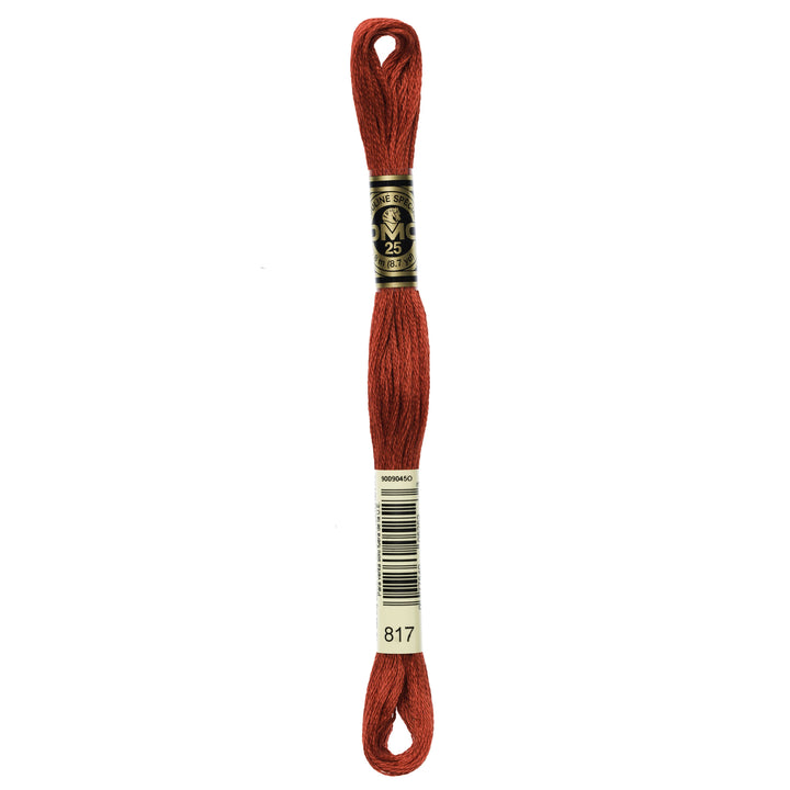 One skein of DMC Mouliné Stranded Cotton thread Colour code 817