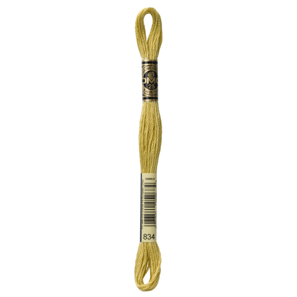 One skein of DMC Mouliné Stranded Cotton thread Colour code 834