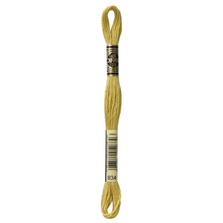 One skein of DMC Mouliné Stranded Cotton thread Colour code 834