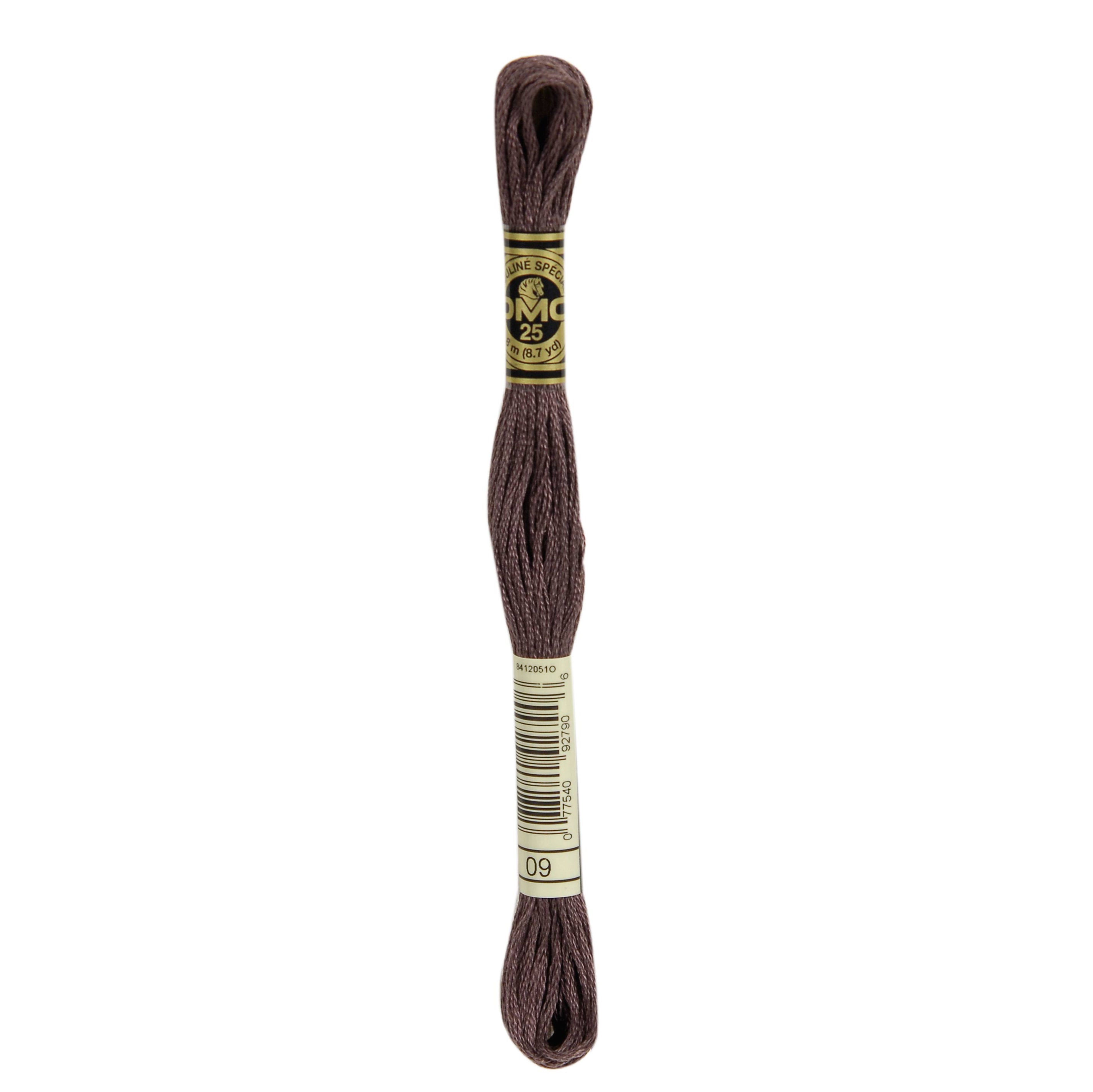 One skein of DMC Mouliné Stranded Cotton thread Colour code 9