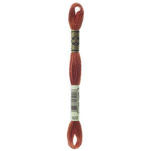 One skein of DMC Mouliné Stranded Cotton thread Colour code 920