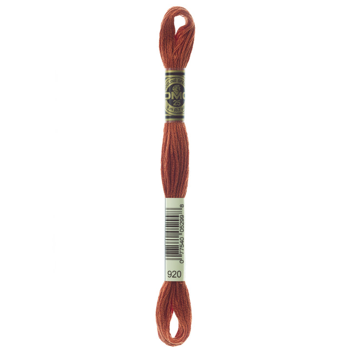 One skein of DMC Mouliné Stranded Cotton thread Colour code 920