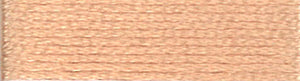 A colour swatch of DMC Mouliné Stranded Cotton thread Colour code 945