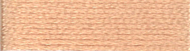 A colour swatch of DMC Mouliné Stranded Cotton thread Colour code 945