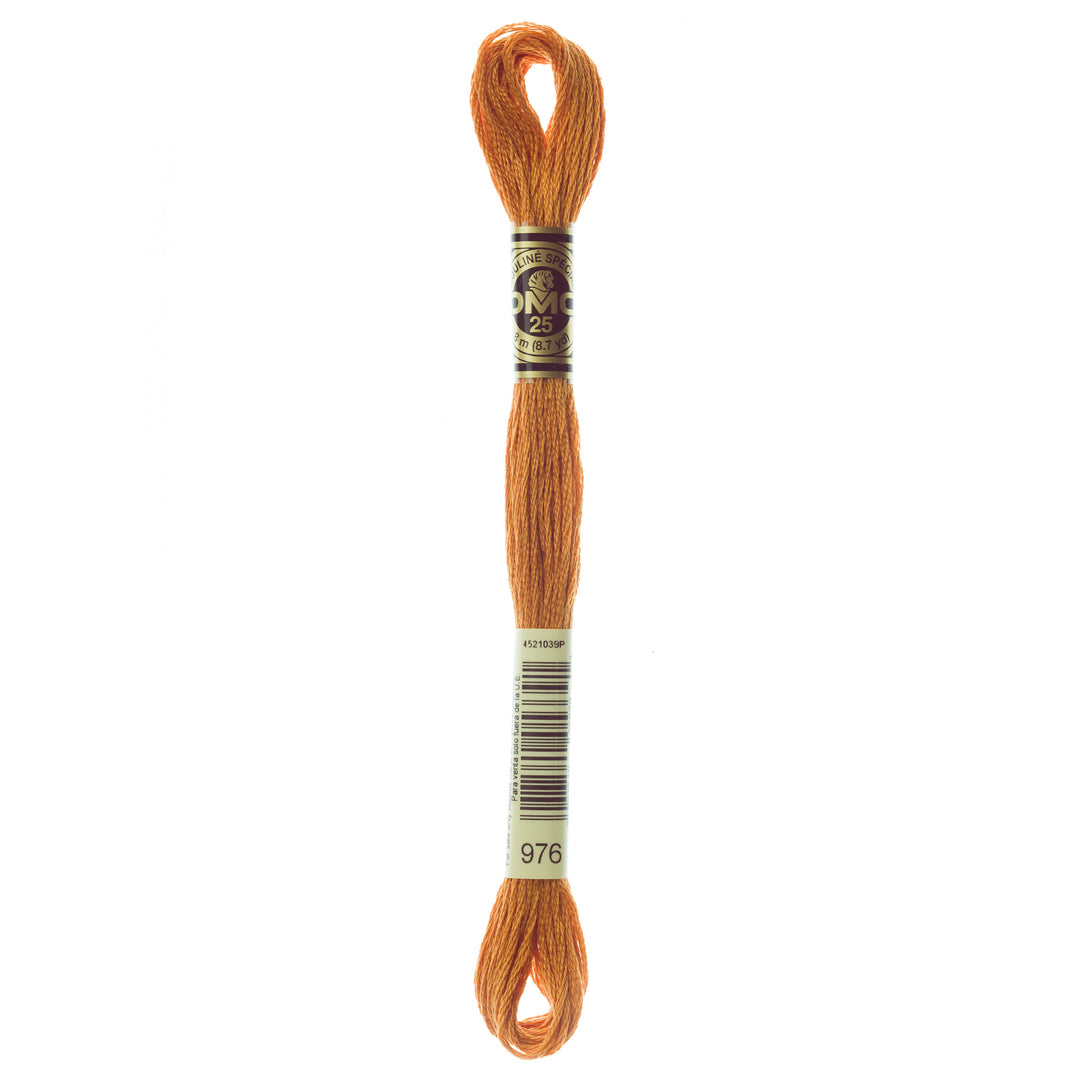 One skein of DMC Mouliné Stranded Cotton thread Colour code 976