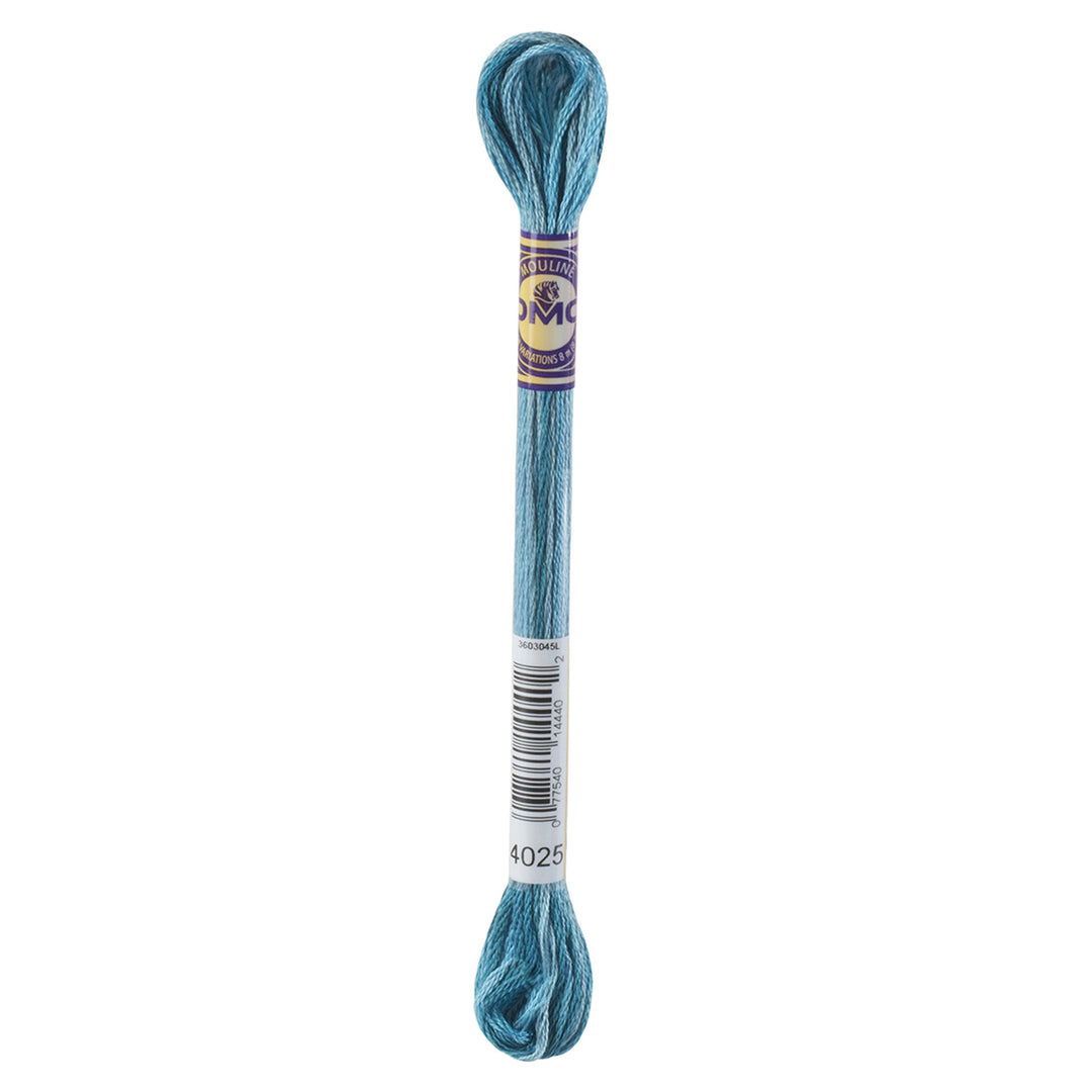 One skein of DMC Mouliné Colour Variations Stranded thread Colour code 4025