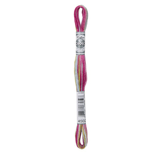 One skein of DMC Mouliné Coloris Stranded Cotton thread Colour code 4502