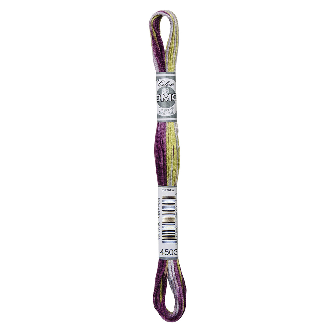 One skein of DMC Mouliné Coloris Stranded Cotton thread Colour code 4503