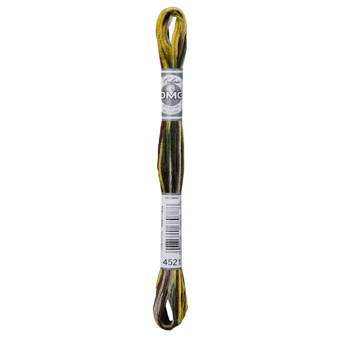 One skein of DMC Mouliné Coloris Stranded Cotton thread Colour code 4521
