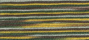 A colour swatch of DMC Mouliné Coloris Stranded Cotton thread Colour code 4521