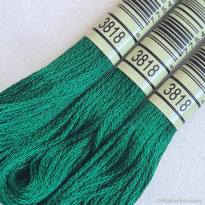 Paraffle Embroidery Supplies &amp; Accessories 3818-(Holly-Green) DMC Embroidery Thread